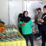 Pasarkan Sayuran ke Retail Modern, Aspakusa Makmur Boyolali Naungi 214 Petani