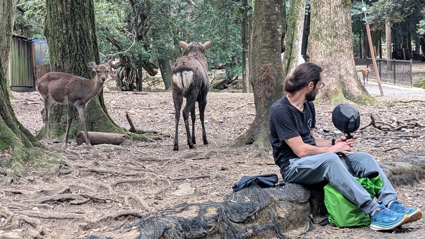 Hadirkan Pengalaman Gaming dan Audio Imersif melalui Mikrofon Kondensor RF Sennheiser